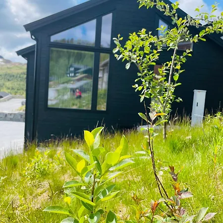 בית נופש Hodlekvevegen 308 - Flott Midt I Skisenteret *