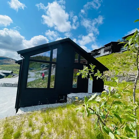 Hodlekvevegen 308 - Flott Midt I Skisenteret *